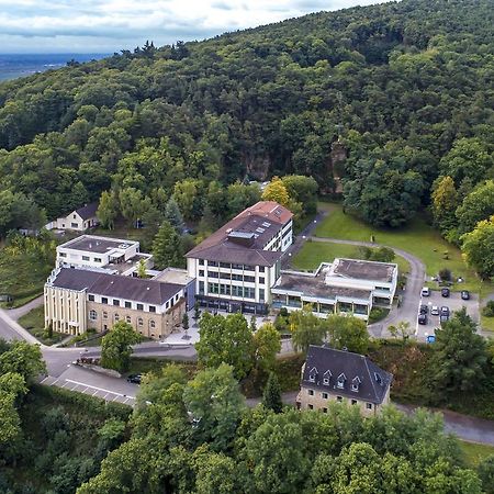 Kloster Neustadt Neustadt an der Weinstraße Kültér fotó