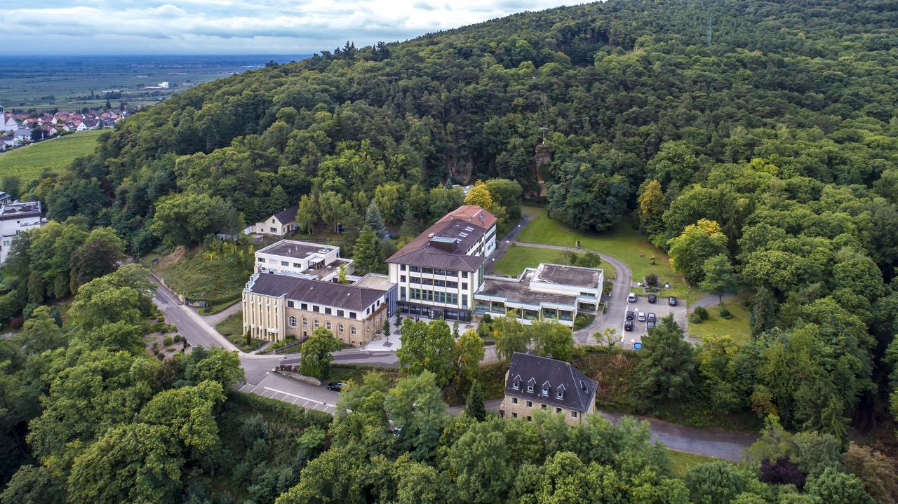 Kloster Neustadt Neustadt an der Weinstraße Kültér fotó